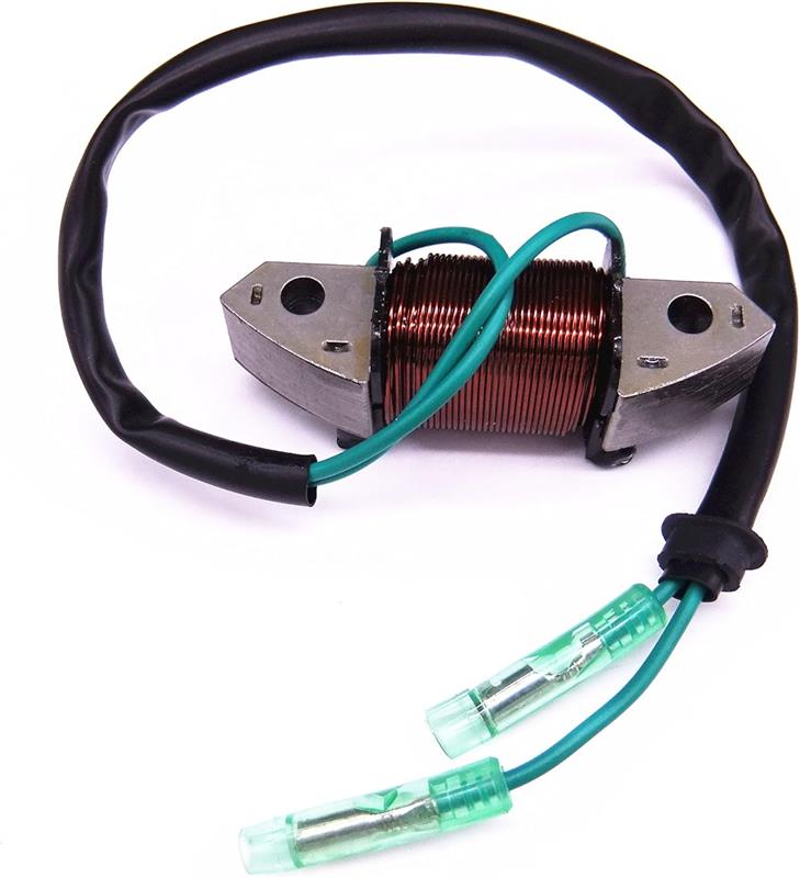 Bobina-de-iluminaciOn-para-Yamaha--Parsun-25-y-30-hp-2-Tiempos