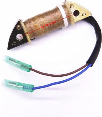 Bobina de Carga Yamaha Parsun Hidea T9.9 T15 2 Tiempos