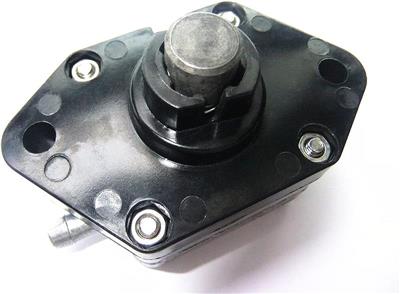 Bomba de Nafta Yamaha Suzuki Parsun OMC F4 F5 4 Tiempos