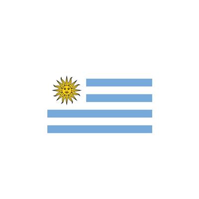 Bandera Uruguay 20x30
